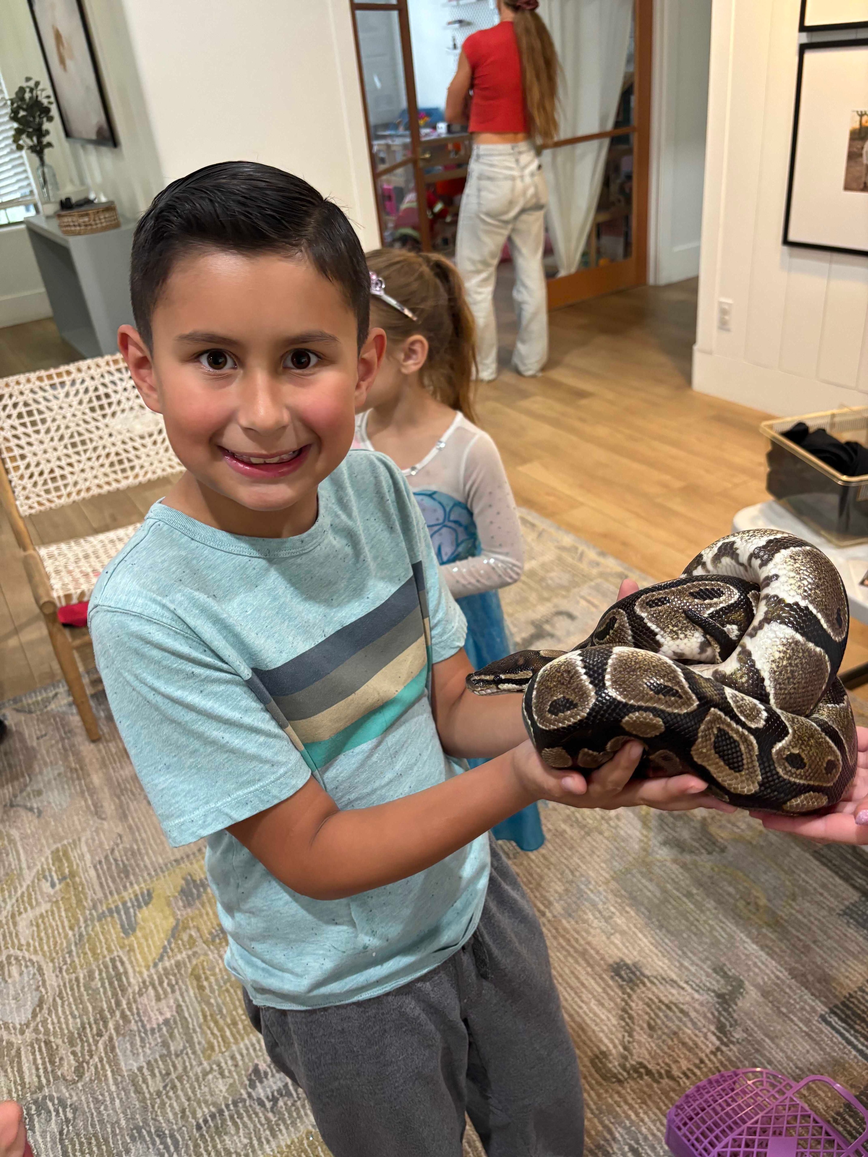 Close-up of a snake being held gently